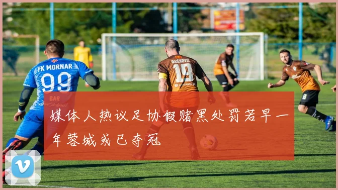 媒体人热议足协假赌黑处罚若早一年蓉城或已夺冠