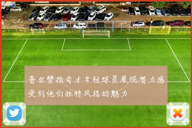 普尔赞扬奇才年轻球员展现潜力感受到他们独特风格的魅力