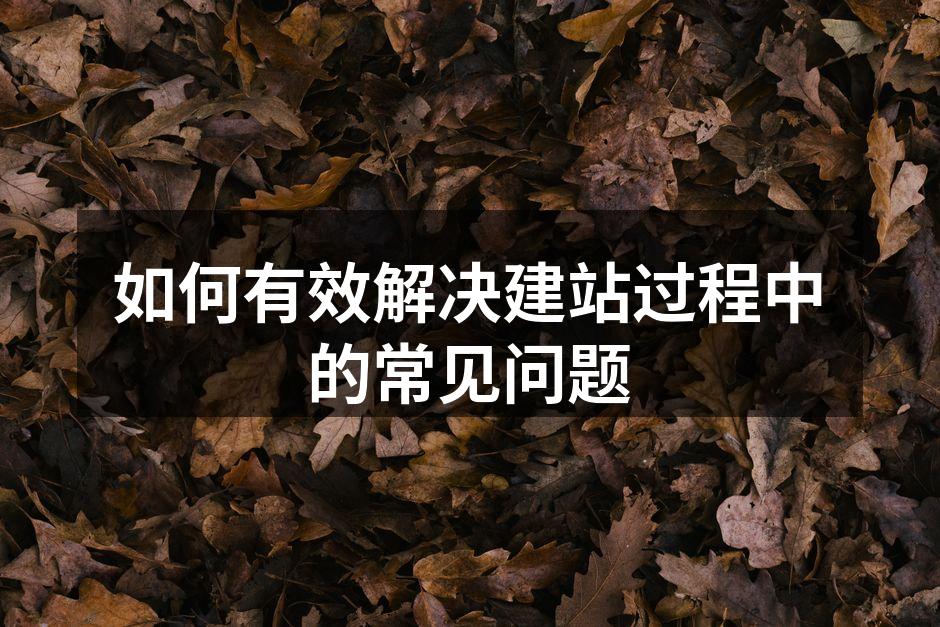 如何有效解决建站过程中的常见问题