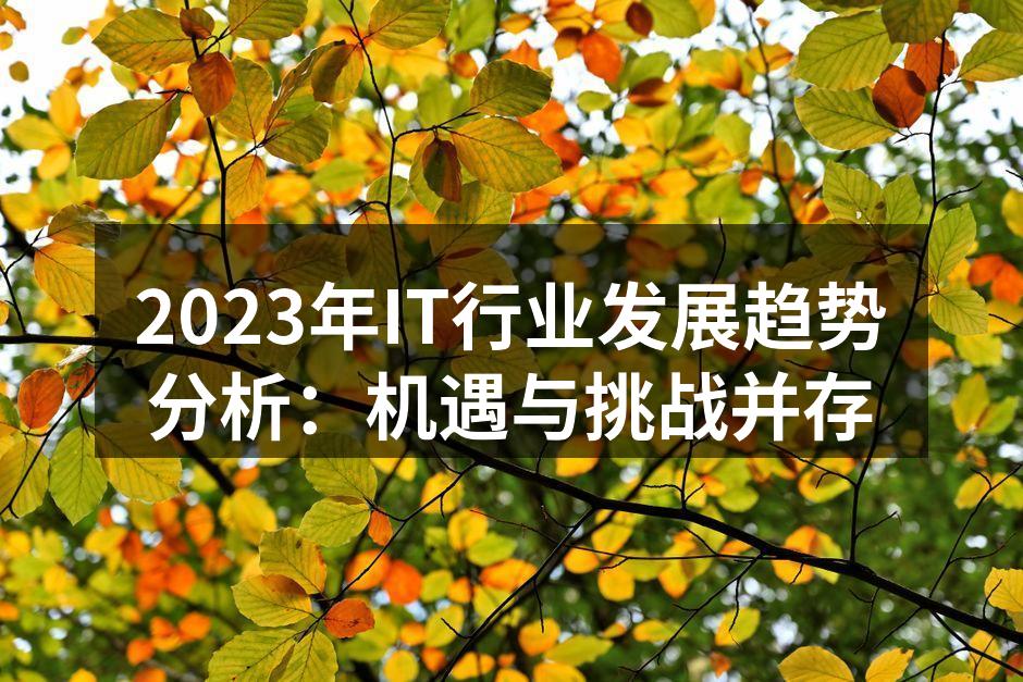 2023年IT行业发展趋势分析：机遇与挑战并存